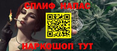 сатива Канаш