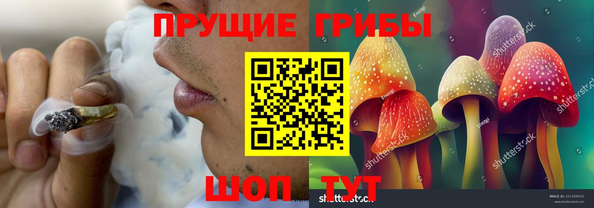 Псилоцибиновые грибы GOLDEN TEACHER  Вход с VPN  Лесной 