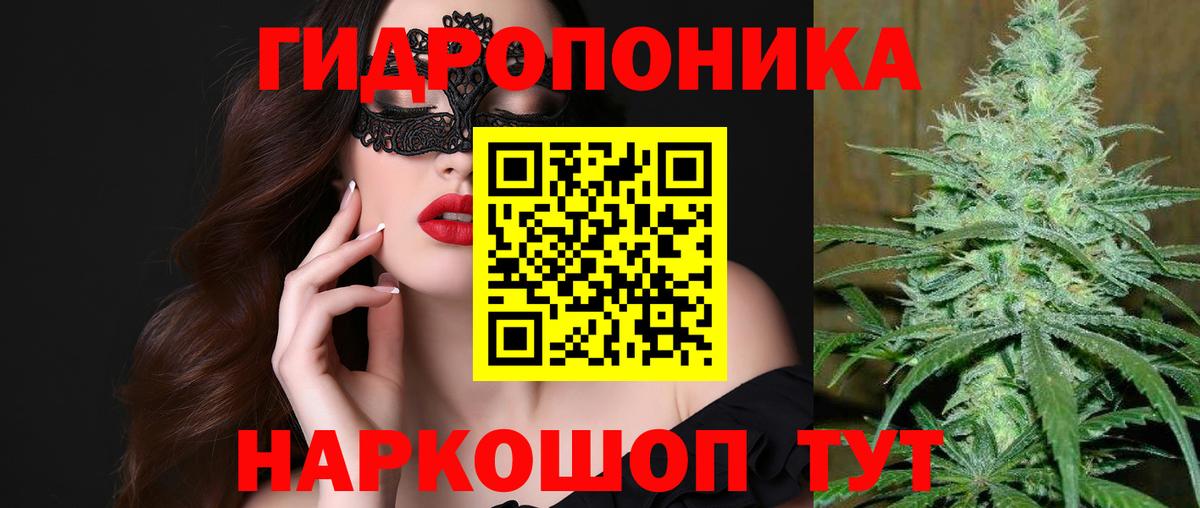 Канабис тримм  Марихуана THC 21%  Вход с VPN  Лесной  Бошки Шишки SATIVA & INDICA 